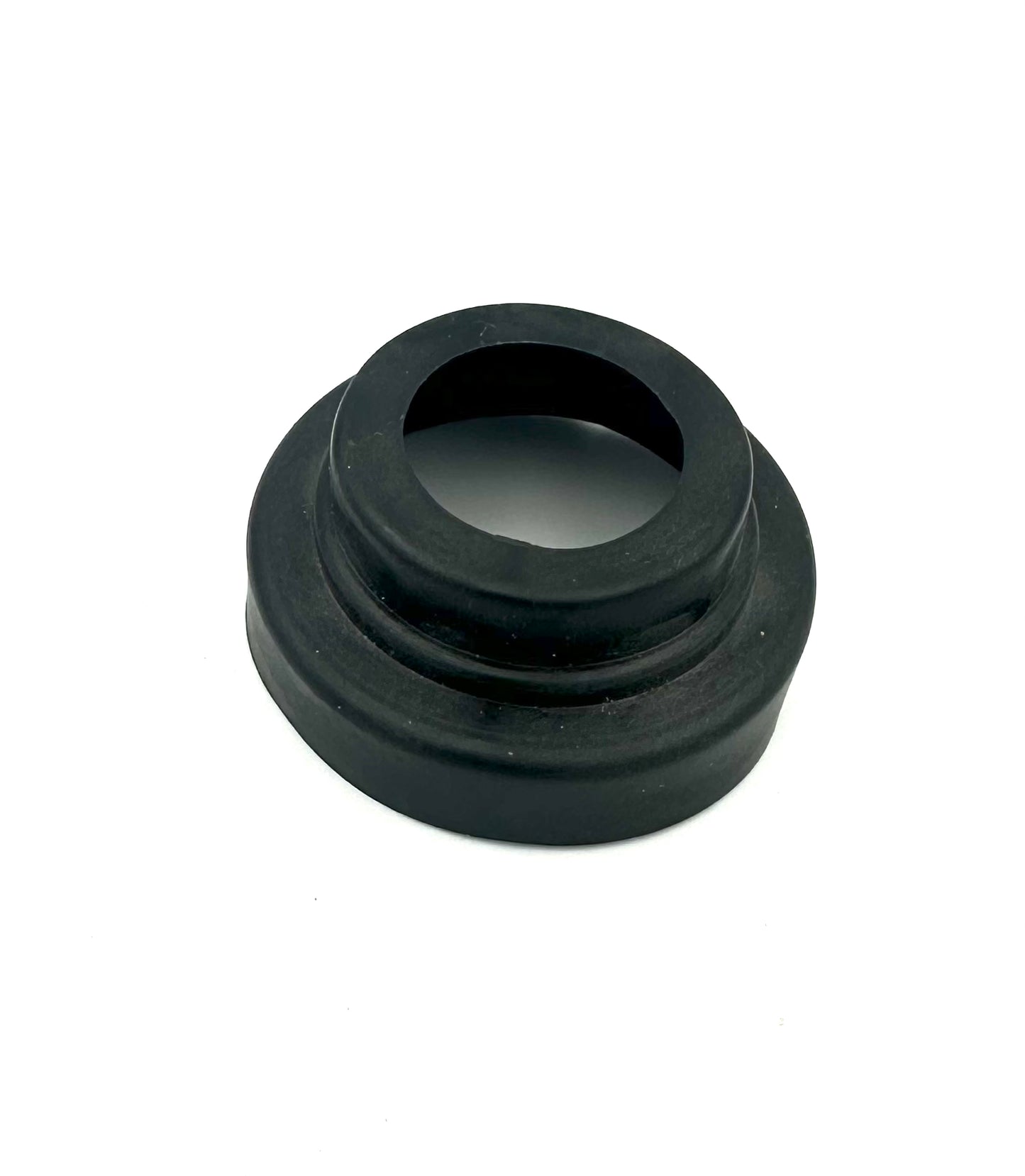 Seal for steering stem bearing
